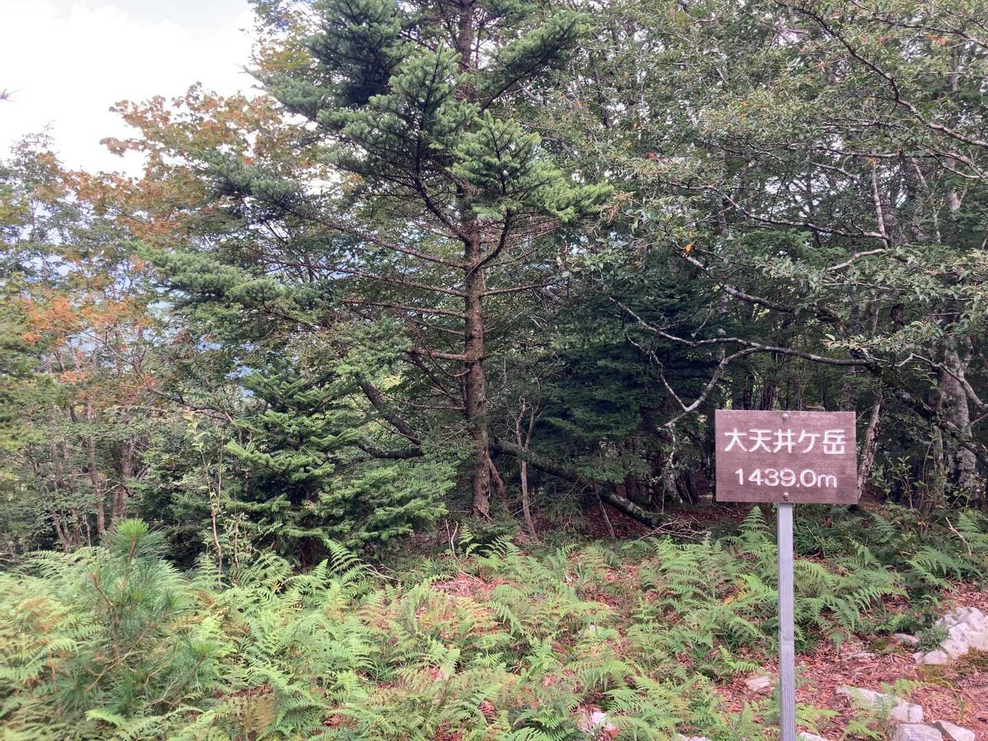 1400メートル以上あるけど、登山口からは300くらいしか上がってません