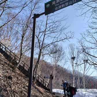 やっと登山口
林道のショートカットが急登
疲れたよ！？

すぐ前を先行していたお二人
駐車場ではお隣さんだったお二人
実は相互フォローしてるmhakさん夫妻だった？
mhakさんのレポを見てビックリ😳
どうやら違った様ですが、数分遅れて歩いてるからお近くにはいらしたみたい🤭
mhakさんは、にょにょにょさんと共にヤベェ人と崇めてる🙌
雪の女峰山でシュパッとぶち抜かれて以来のチャンスだったのに…、残念😞