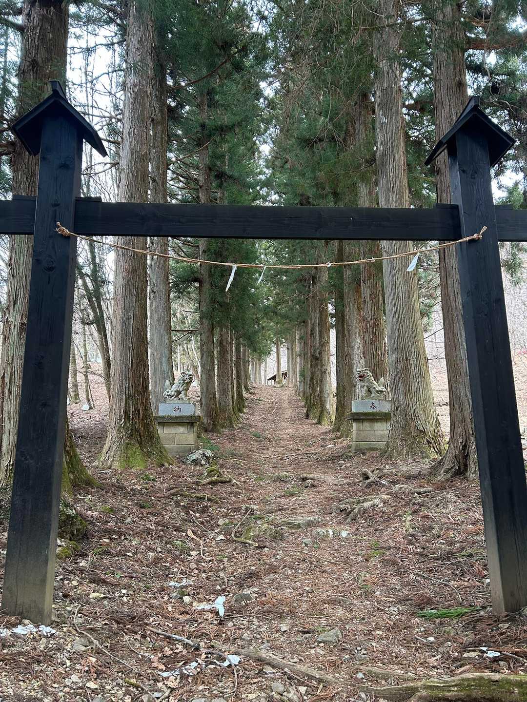 立派な参道に駒狼鎮座