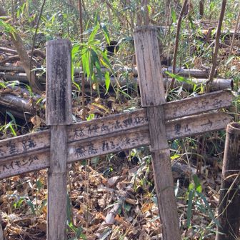桔梗山山頂、ここかな？