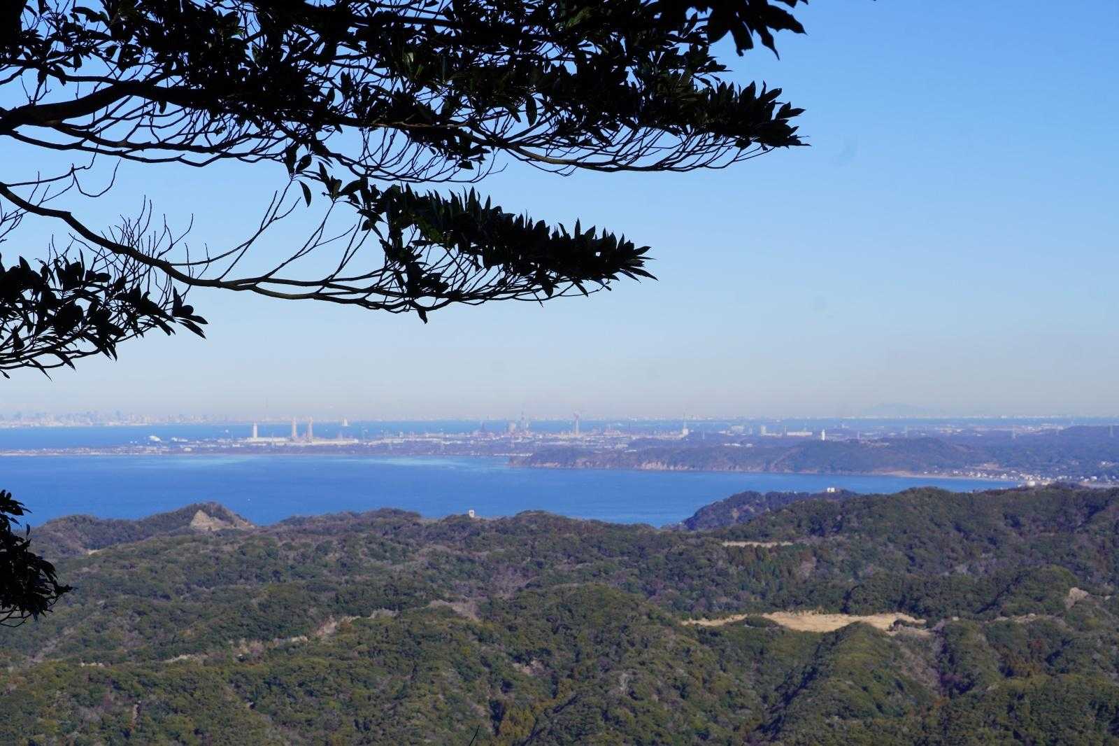 山頂からの景色。