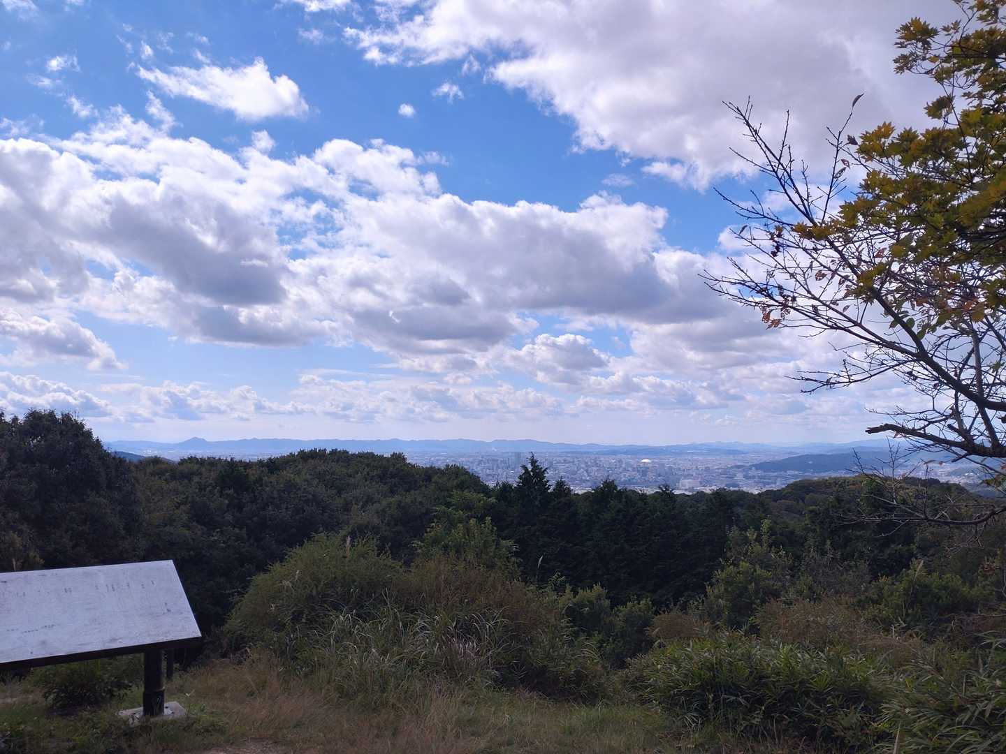 龍ノ口八幡宮-龍ノ口山 縦走コースの写真