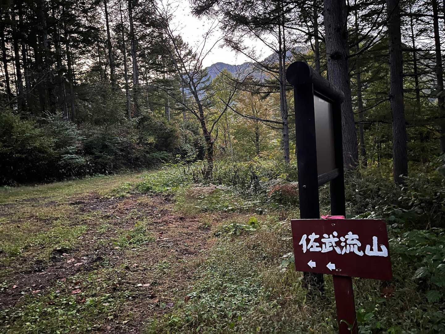 明るくなってきました
佐武流山へ
まだまだ林道
