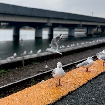 視線感じたわ、凄く