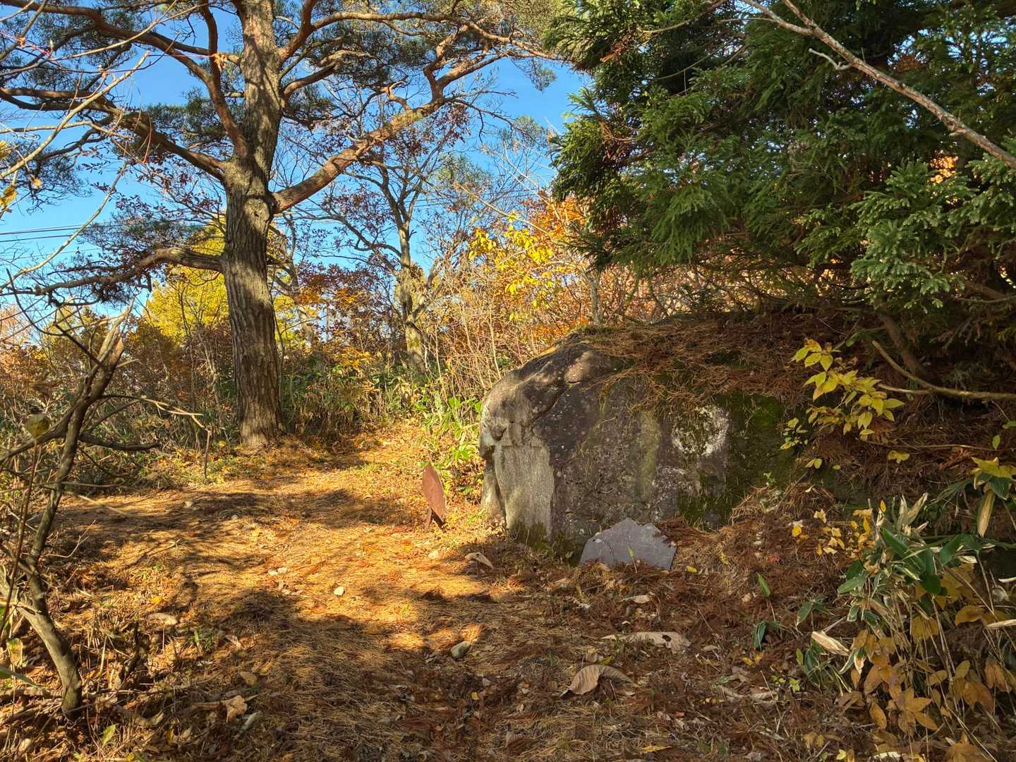 30分ほどで大岩を通過。
序盤はゆっくり足慣らしして、急登に向けて脚をためておく作成です☺️
