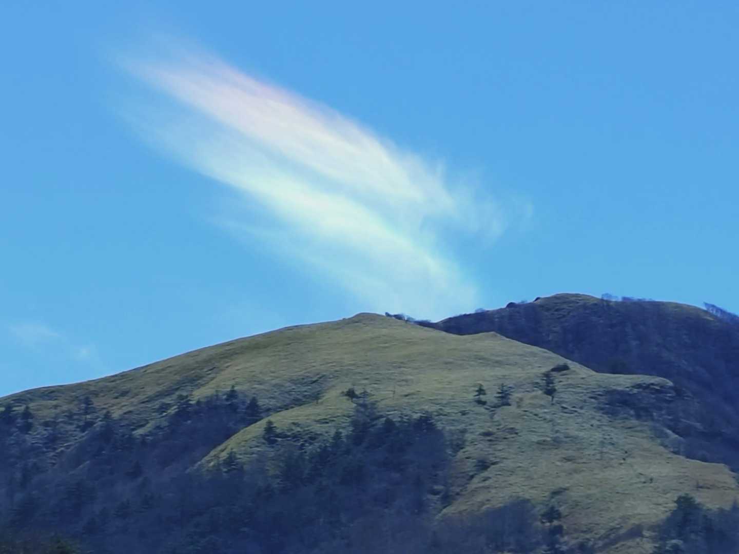 振り返ったら彩雲🌈が😍
