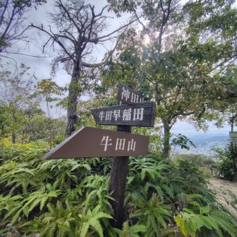 お爺が場を支配されていて山頂票を探せなかったですね