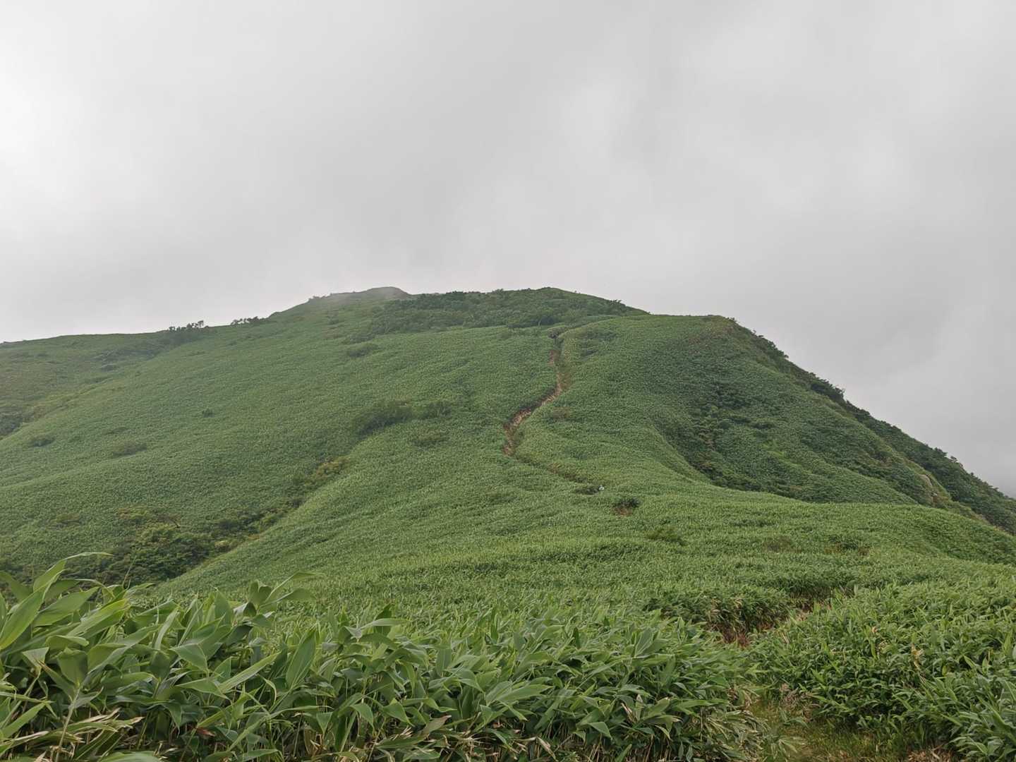 あれが山頂か