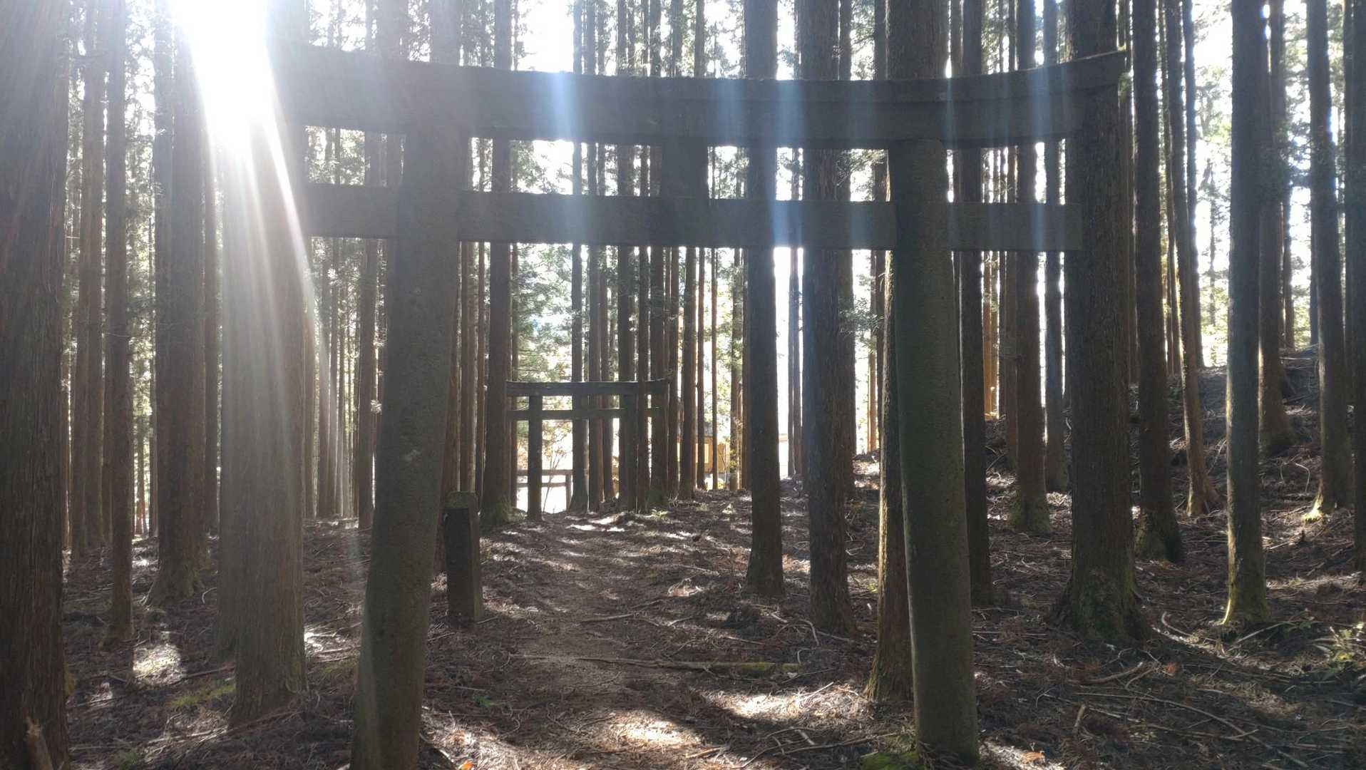 最後まで見てくださって、ありがとうございます。