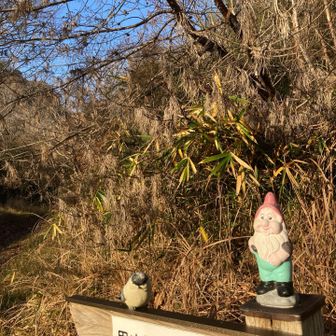 かわいい小人がお出迎え