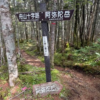 御小屋山ピークかと思ったら…