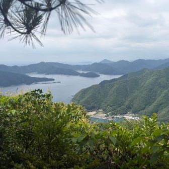 深島見えるらしい。潜り行かななー。🤿