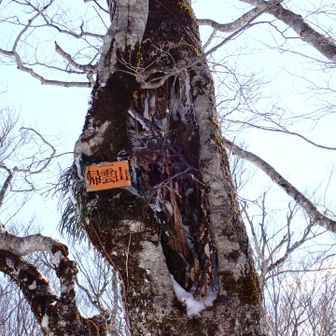 帰雲山山頂。
ここにはプレート有り。
ここまで長かった。

後で知ったのだけど帰雲城というお城があって、地震による山体崩壊で城下町共々一夜で消えたという事があったらしい。金山だったので、金が山ほど埋まっているという伝説がある。掘ってみたいですね。