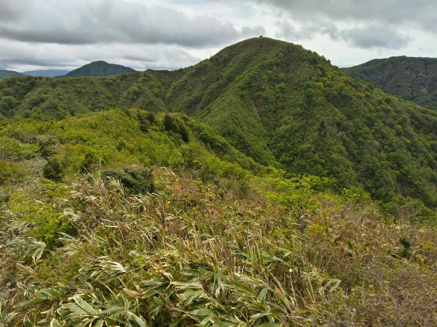 北丈競山-丈競山 往復コースの写真