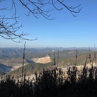 侵入防止柵の隙間から