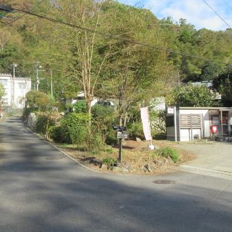 いつもの一ノ尾尾根コースで登ります