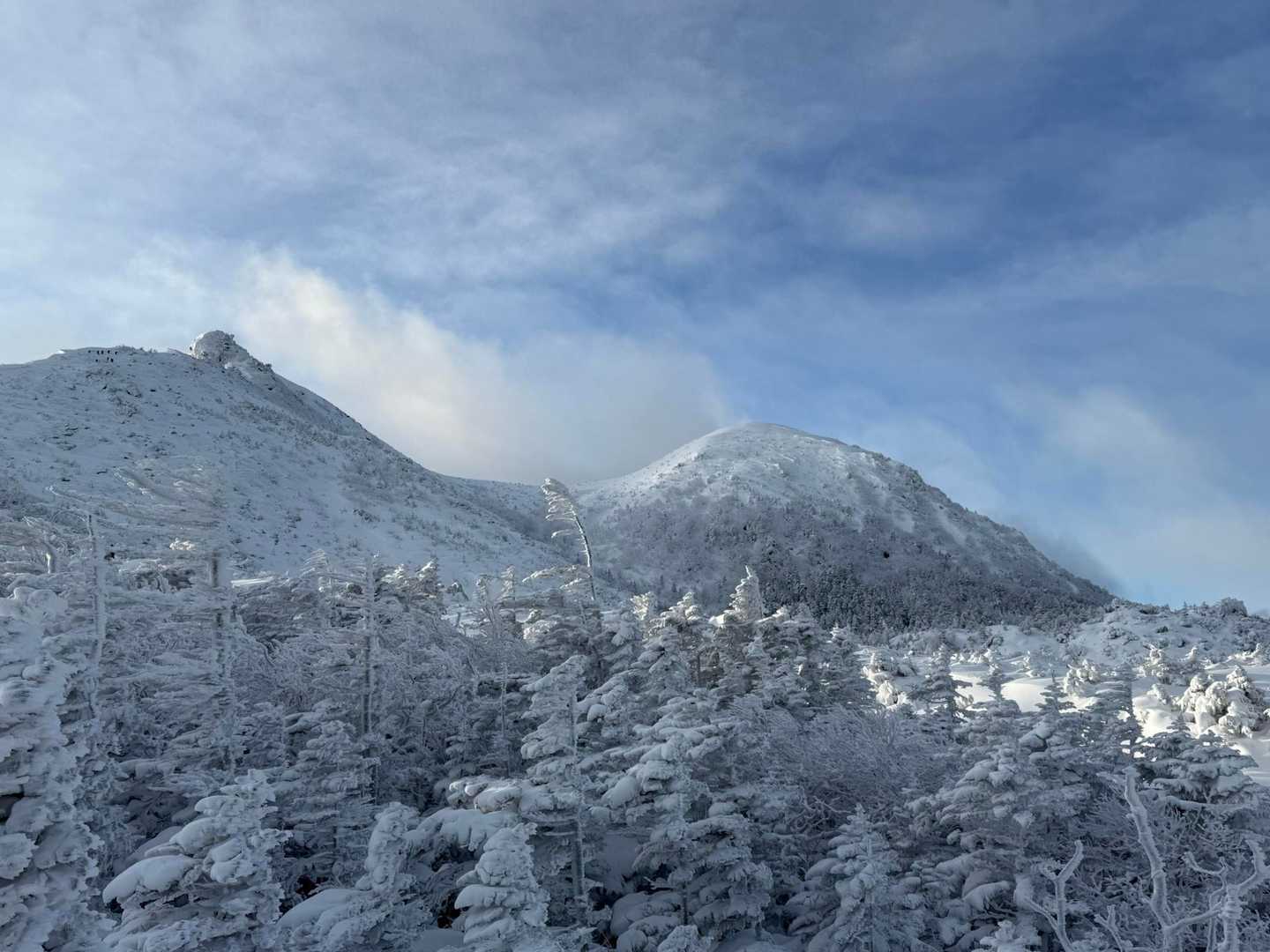 ［週末限定価格］良岳さん作　ククサ　神代ケヤキ　280cc ククサ / 欅 （ケヤキ）国産天然木 マグカップ 嗣-TSUGU- 通販