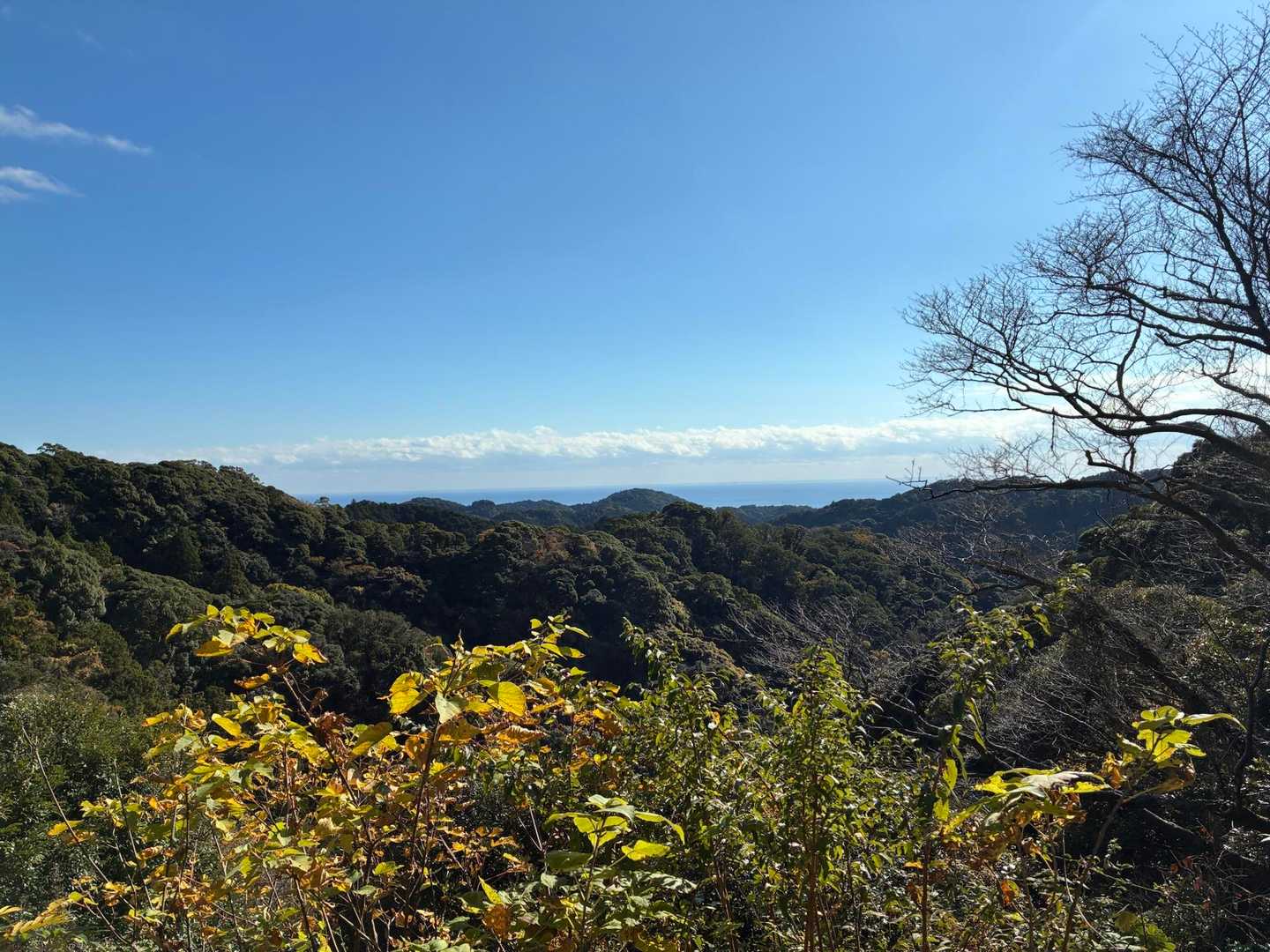 おぉ〜…開けた場所！！

清々しい青空〜　気持ちいい〜🎶
