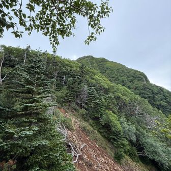 見えてきた！
