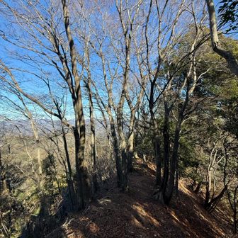 この辺りだけ、少しだけ、視界が、少しだけ、ひらけたかな・・・