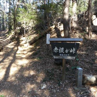 赤根が峠まで来ました