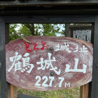 「とちお」の上にオオカマキリ

へぇ秋らぁね、あっちぇろもね😂