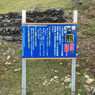 熊注意⚠️