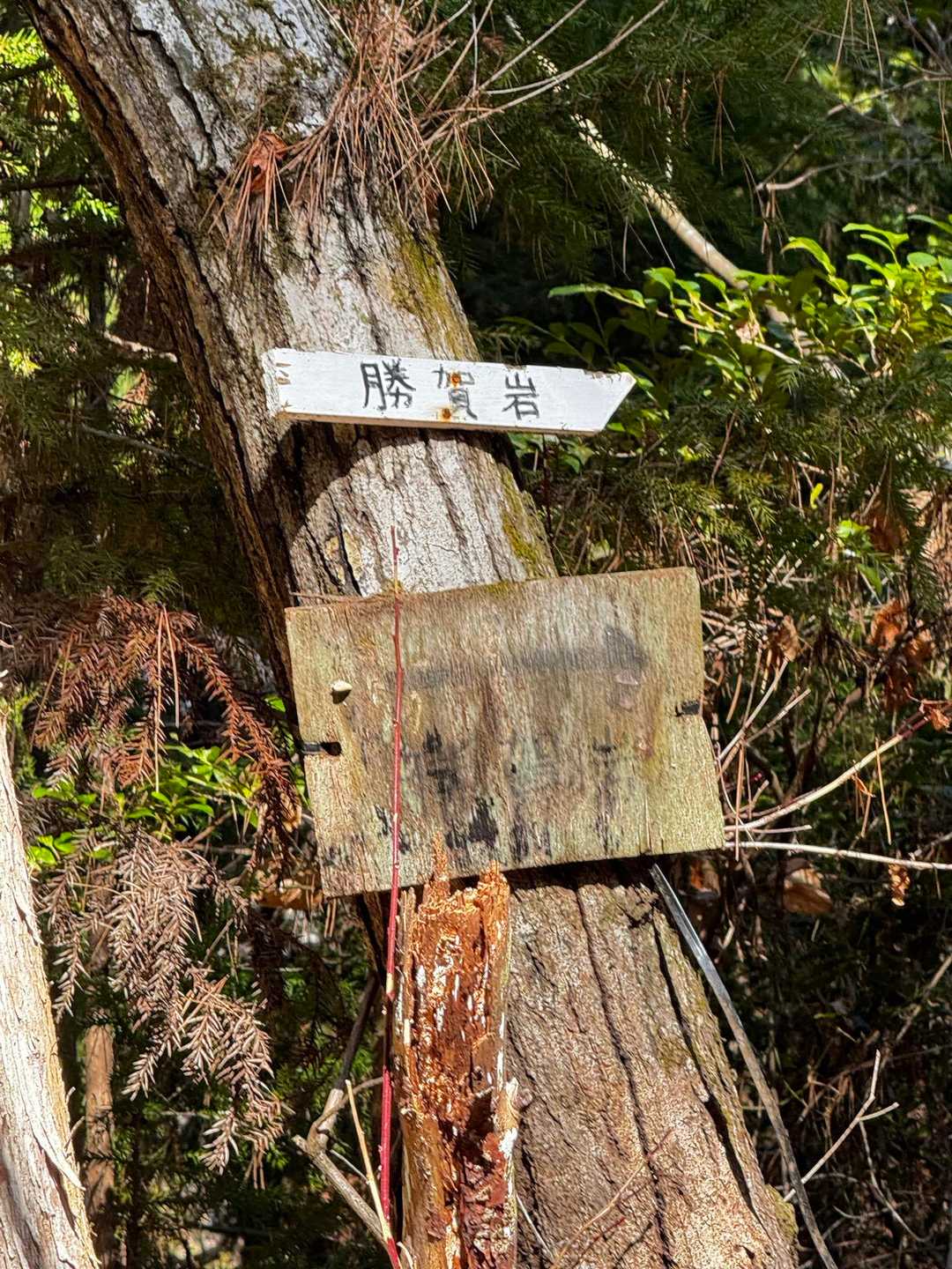 案内