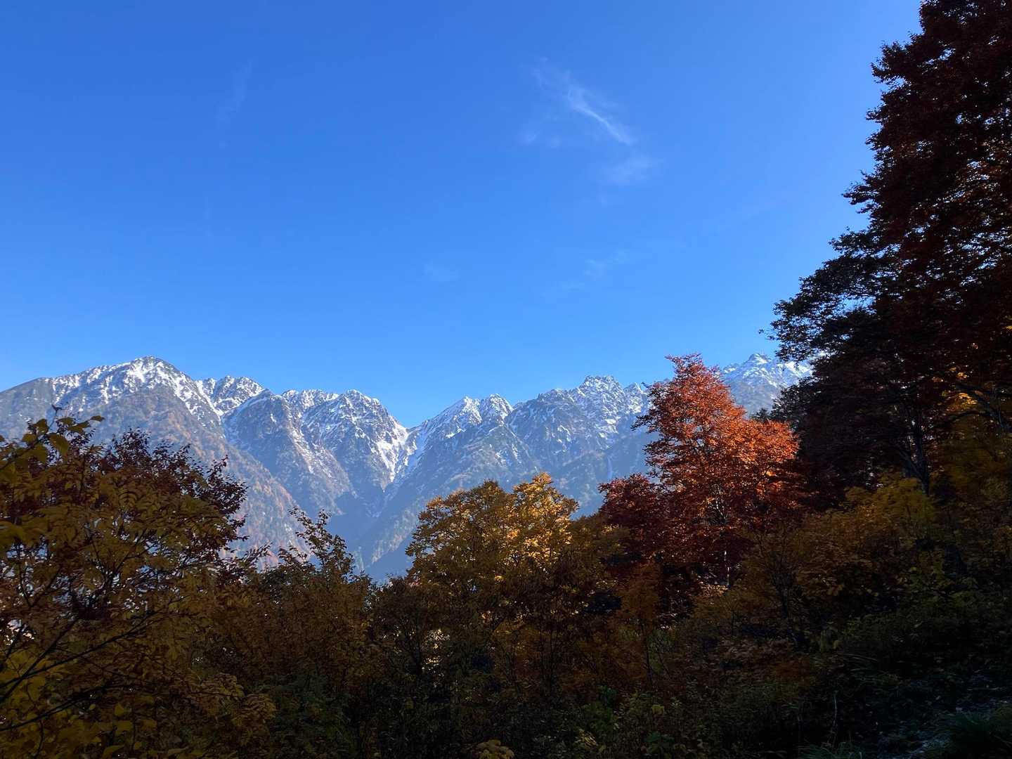 今日も青空🟦