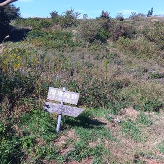 雷山の別名　層々岐岳

層増岐野（層々岐野）
神功皇后が軍勢をここに結集させた伝説