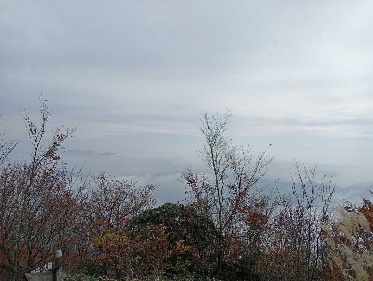 井水山-中央峰-泉山 往復コースの写真