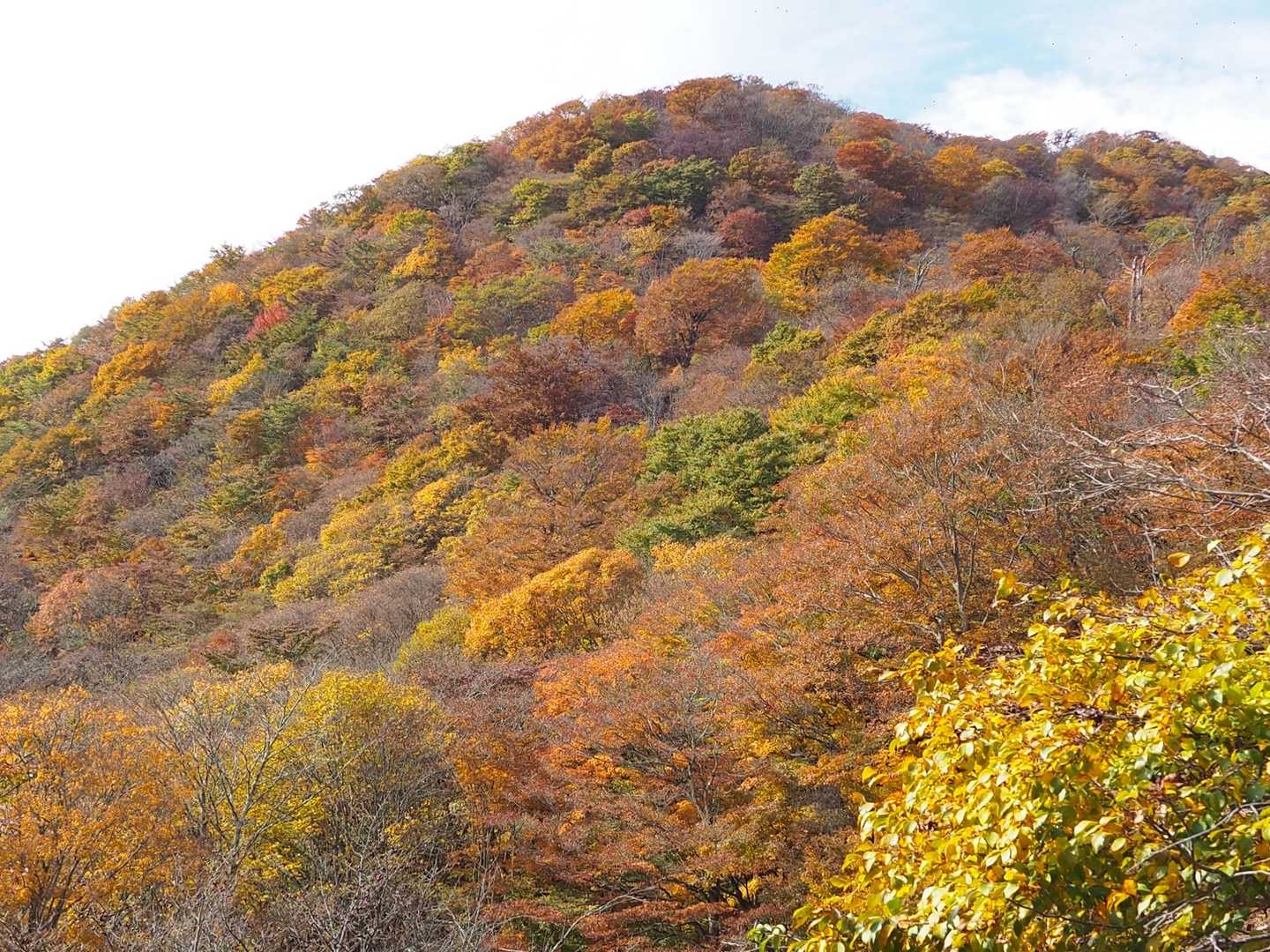ピークが見えてきました。まだまだ登ります。