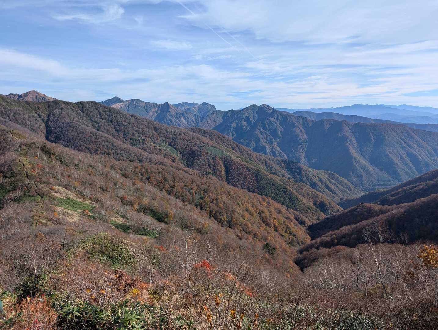 谷が綺麗🍁
実際はもっと鮮やか