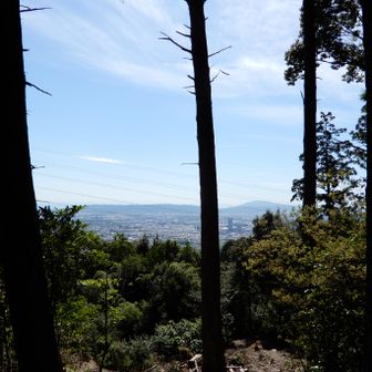 天王山頂上の周囲は木々に囲まれており、ごく一部しか風景は望めません。