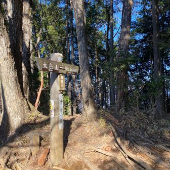 御岳山までの間にある鍋割山にも寄ってみました⛰️