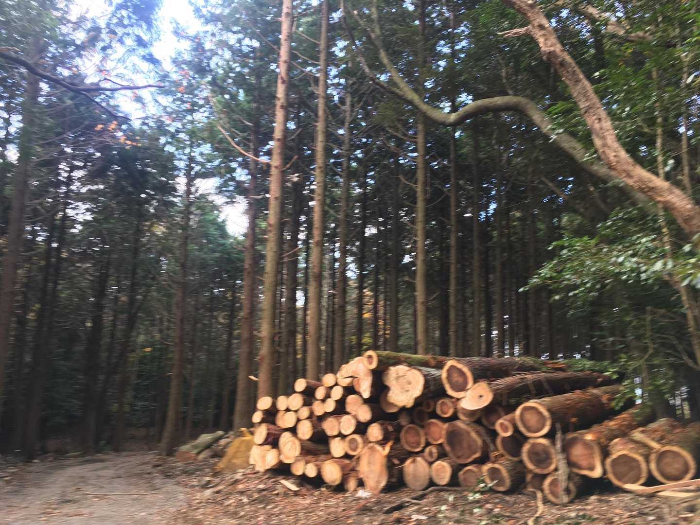 いい香り