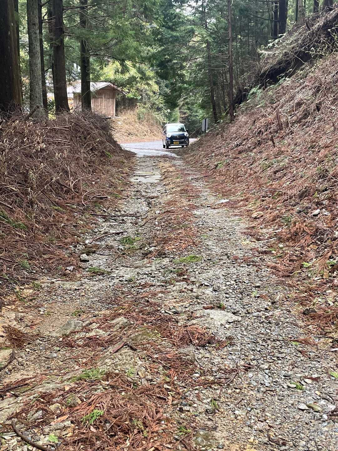 もうすぐこの車とはお別れ((；ω；))