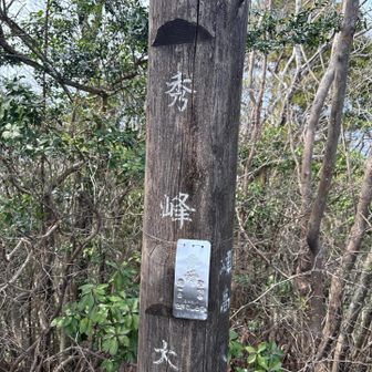 秀峰
YAMAP山頂の先に有りました