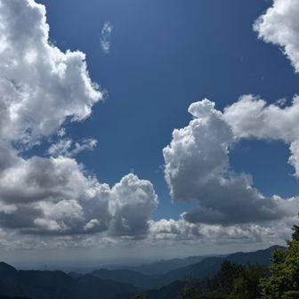 夏の空