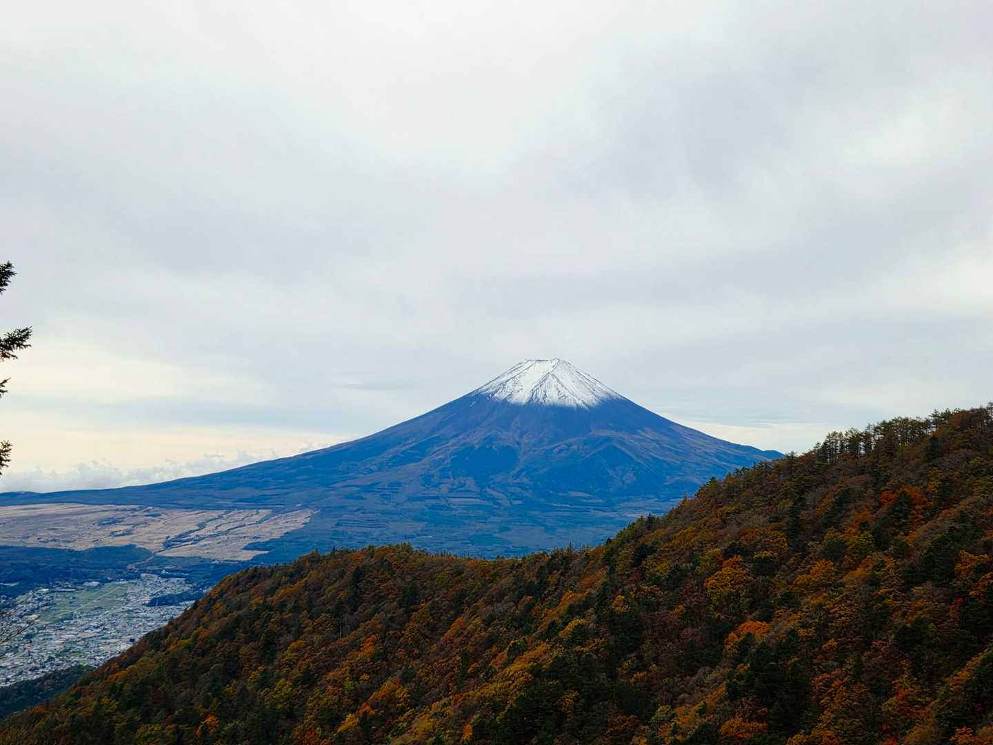 富士山と紅葉🗻🍁