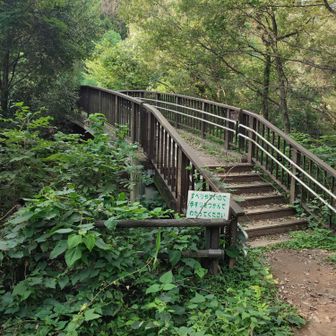 御城橋