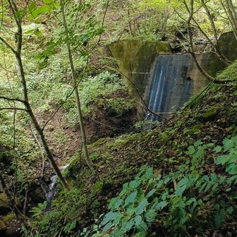 滝の脇を登って行くのですが、滝の後ろに堰堤があって驚きました。