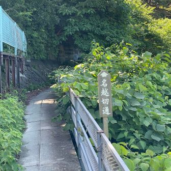 名越の切り通しへ。
