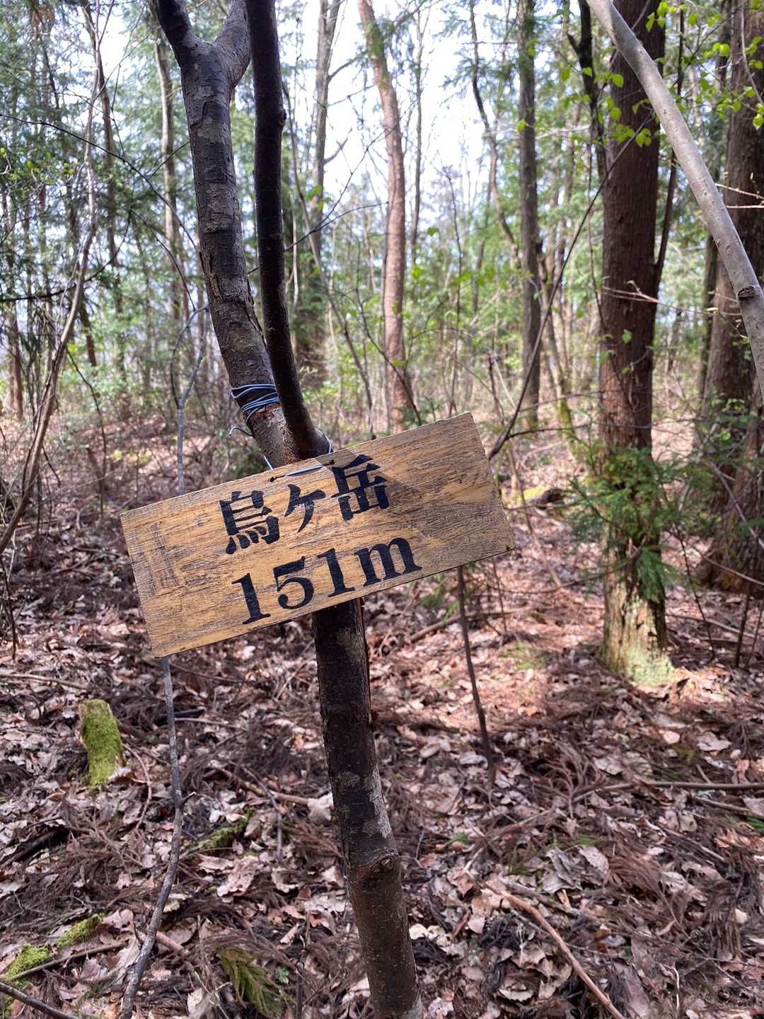 山頂到着！
眺望はありません