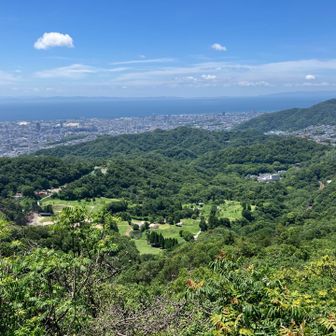 菊水山⛰️山頂手前の展望スポットから
