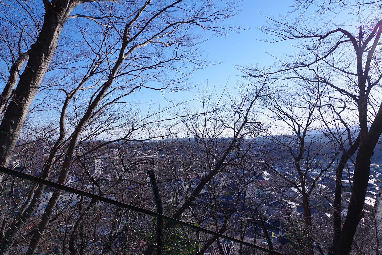 左側に団地群