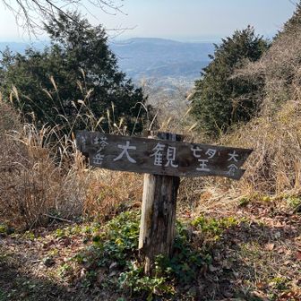 伊豆半島、意外と近いなーと感じるアングルでした