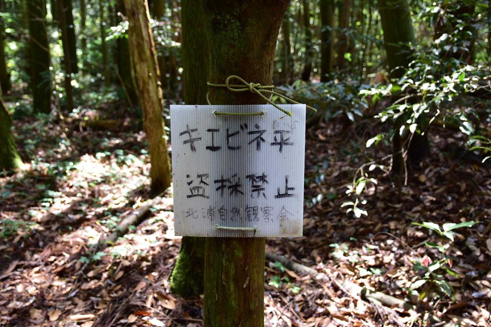 駄目よ〜‼️