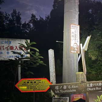 大倉尾根の緊急通報用・位置特定の黄色い番号看板は、登山口の《No.0》から始まり、塔ノ岳の山頂直下にある《No.45》まで、合計46枚（0〜45番）設置されています。

だそうです📝
平地でも6.4kmは遠い💦