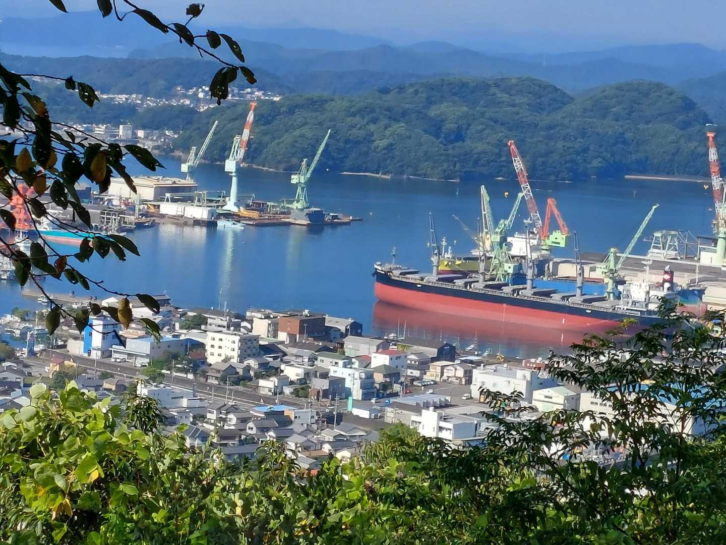 大平山 往復コースの写真